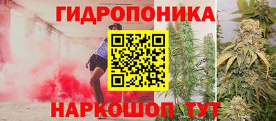 гашик Кимры