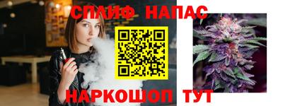 гашик Кимры