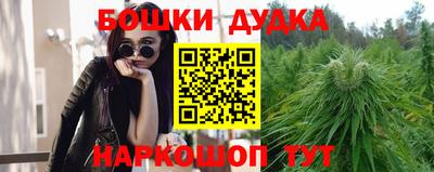 гашик Кимры