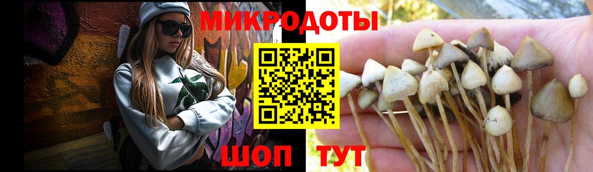 Шелехов  Псилоцибиновые грибы прущие грибы  Вход с VPN  Галлюциногенные грибы прущие грибы 